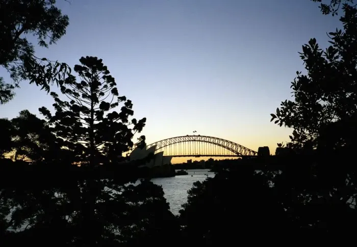 Framed Print : View through trees of Sydney Harbour Bridge Framed Print : View through trees of Sydney Harbour Bridge