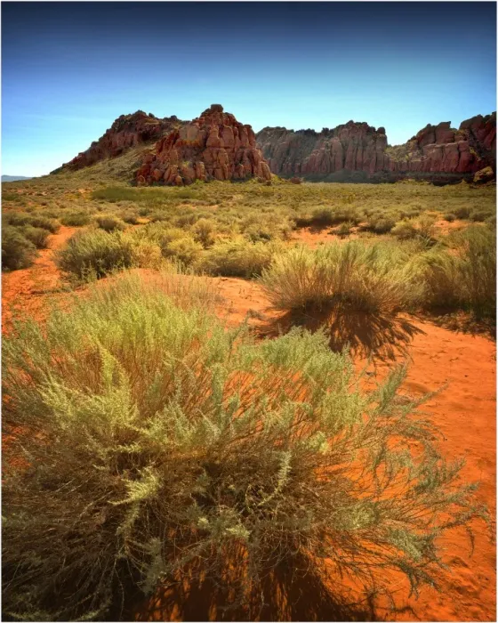 Framed Print : View in the valley floor of Snow Canyon state park, Ivins, St. George, Utah, USA
