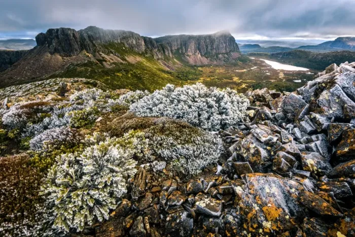Framed Print : View to West Wall from the Temple in Walls of Jerusalem National Park, Tasmania Framed Print : View to West Wall from the Temple in Walls of Jerusalem National Park, Tasmania