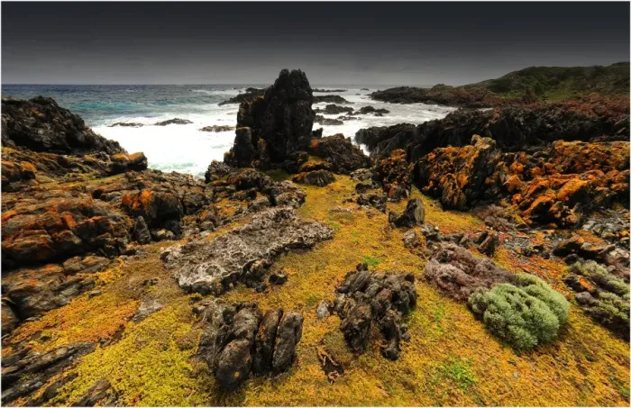 Framed Print : A view of the western coastline of King Island, Bass Strait, Tasmania, Australia
