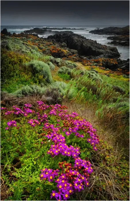 Framed Print : A view of the western coastline of King Island, Bass Strait, Tasmania, Australia