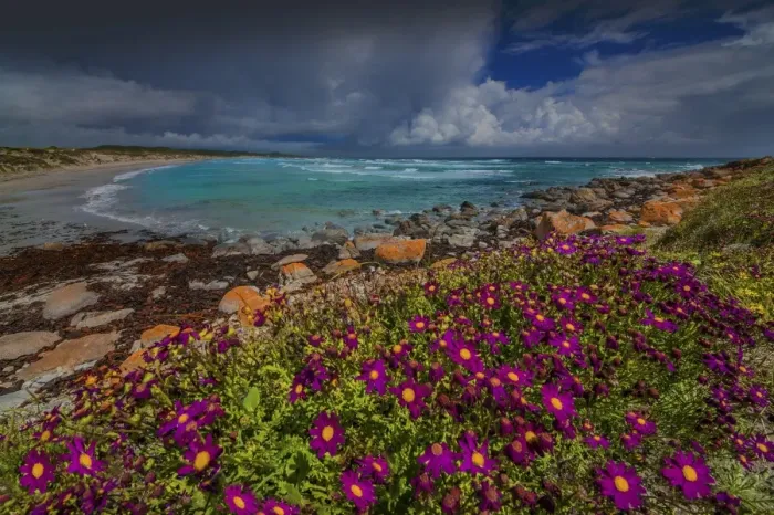Framed Print : Viewpoint to British Admiral Beach