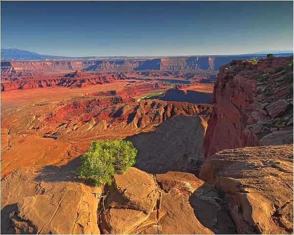 The viewpoint of the Colorado river at Dead Horse point, Utah