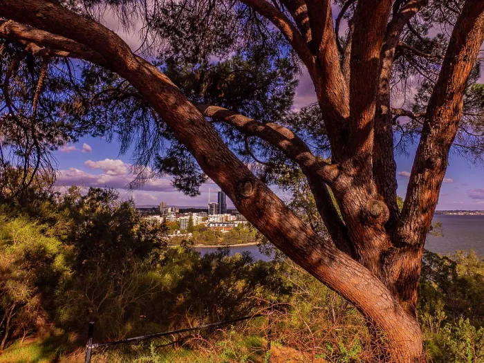 Framed Print : Viewpoint of Perth City from Kings Park Framed Print : Viewpoint of Perth City from Kings Park