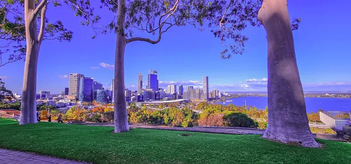 Framed Print : Viewpoint of Perth City from Kings Park Framed Print : Viewpoint of Perth City from Kings Park