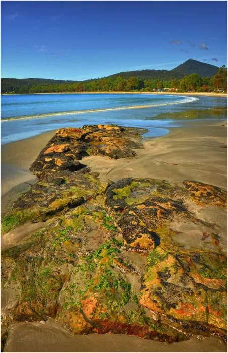 Framed Print : Views along the pristine coastline of Adventure bay, South Bruny Island, Tasmania Framed Print : Views along the pristine coastline of Adventure bay, South Bruny Island, Tasmania
