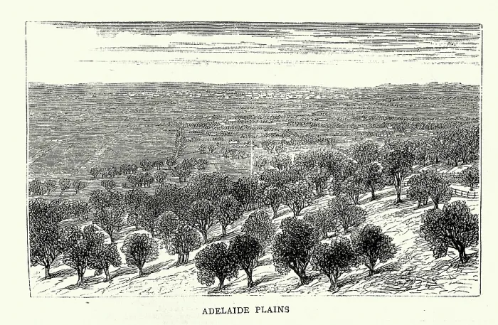 Framed Print : Vintage illustration Sketches in South Australia, Adelaide Plains, 1870s, 19th Century