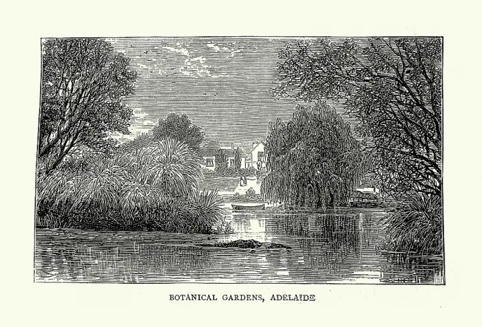Framed Print : Vintage illustration Sketches in South Australia, Botanical gardens, Adelaide, 1870s, 19th Century Framed Print : Vintage illustration Sketches in South Australia, Botanical gardens, Adelaide, 1870s, 19th Century