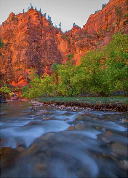 Virgin River Zion national Park in south western United States
