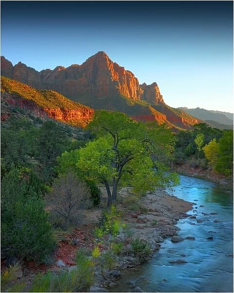 Virgin River Zion national Park in south western United States