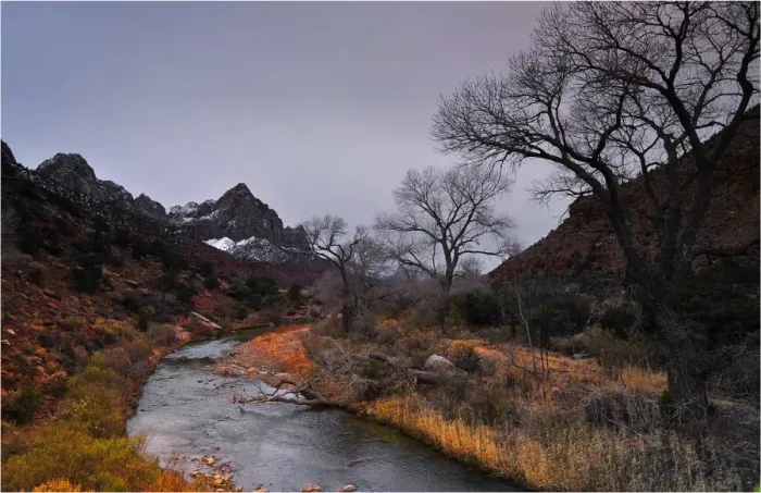 Framed Print : Virgin River Zion national Park in south western United States