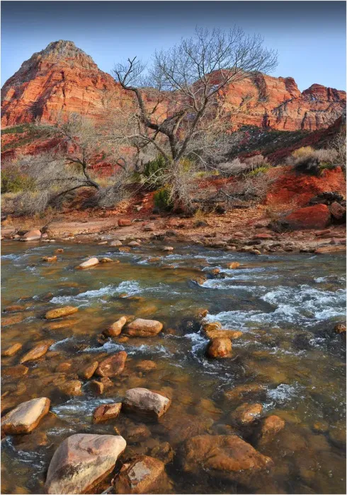 Framed Print : Virgin River Zion national Park in south western United States