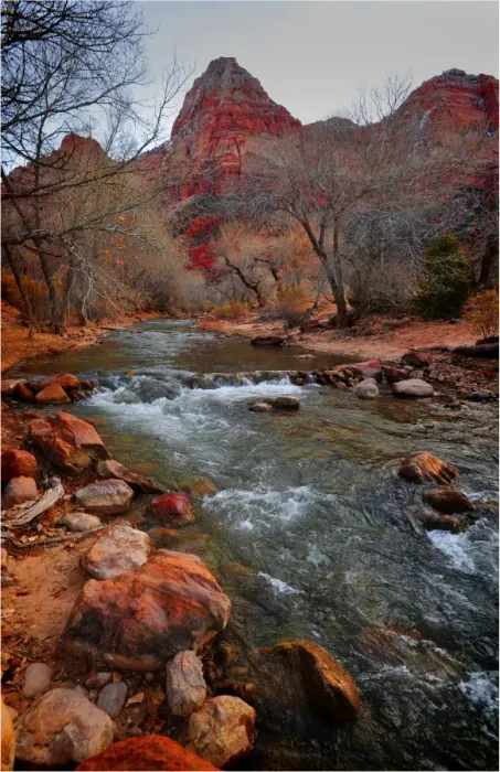 Framed Print : Virgin River Zion national Park in south western United States