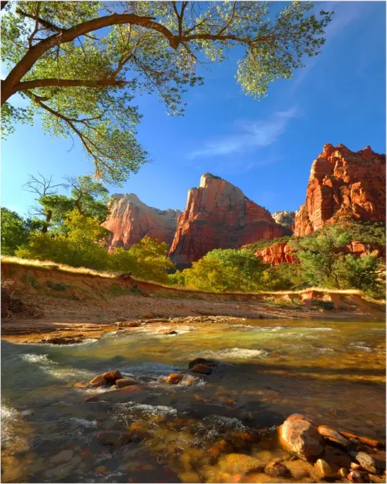 Framed Print : Virgin River Zion national Park in south western United States