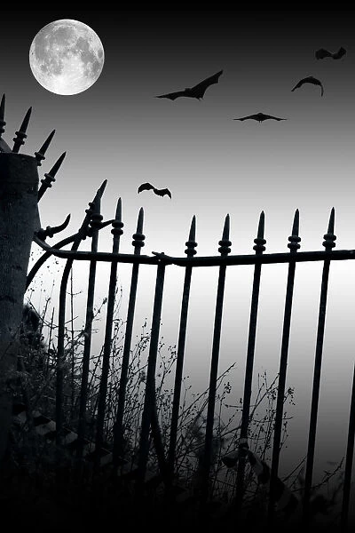 Visualize Fear - Bats flying in front of the moon