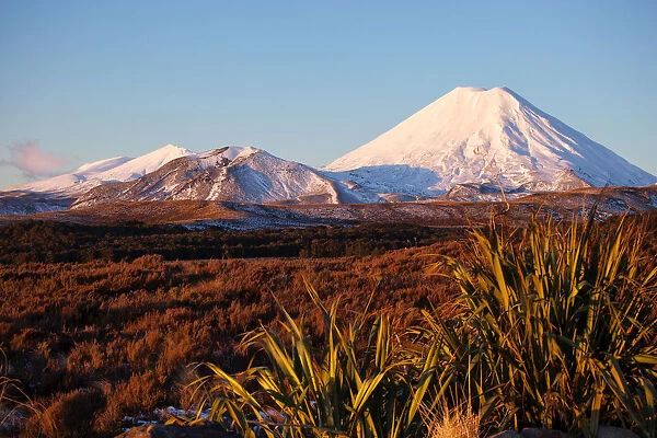 Volcanic scenery with Mt Ngauruhoe in Tongariro National Park