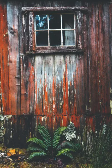 Framed Print : Waldheim Chalet Cradle Mountain Framed Print : Waldheim Chalet Cradle Mountain