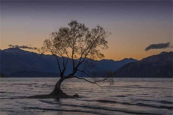 Wanaka lake at dusk, South Island, New Zealand