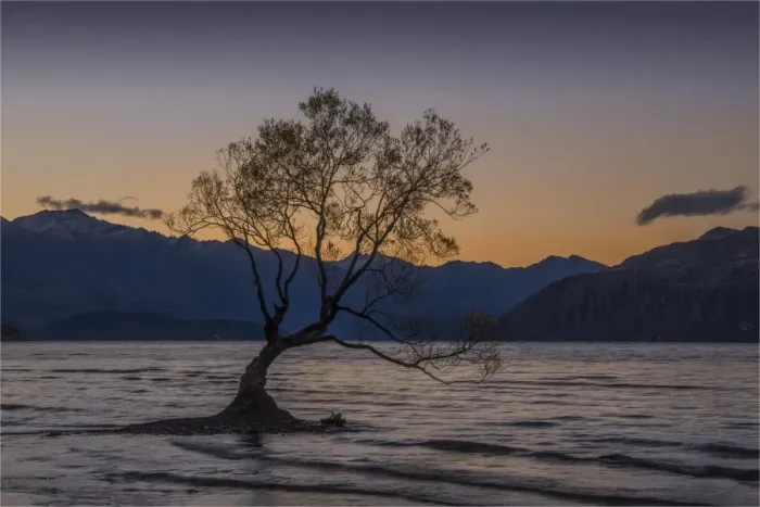 Framed Print : Wanaka lake at dusk, South Island, New Zealand