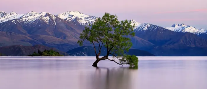 Framed Print : Wanaka pink sunrise Framed Print : Wanaka pink sunrise