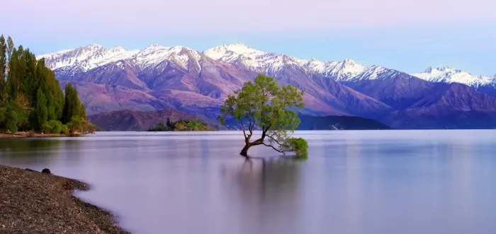 Framed Print : Wanaka sunrise Framed Print : Wanaka sunrise