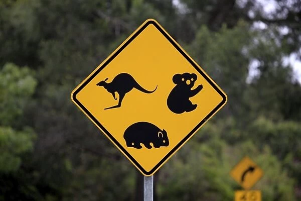 Warning sign, koala, wombat, kangaroo, Victoria, Australia