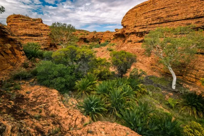 Framed Print : Watarrka National Park Framed Print : Watarrka National Park