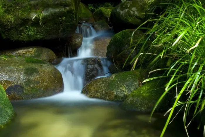 Framed Print : Water over boulders in rainforest Framed Print : Water over boulders in rainforest
