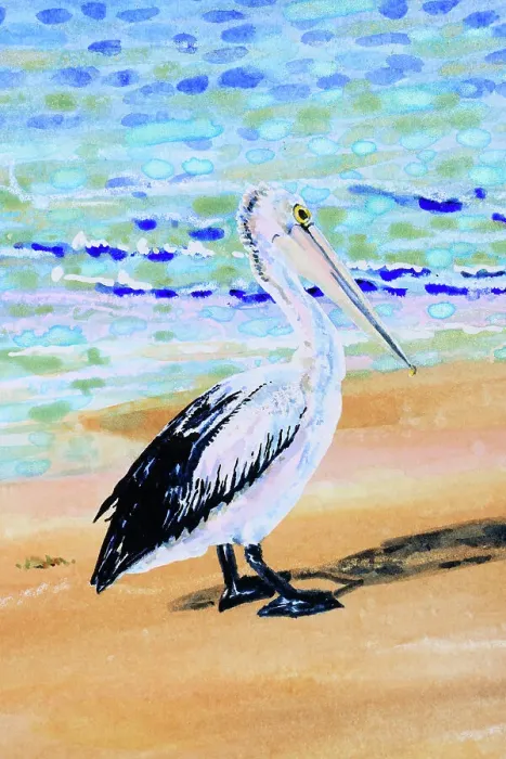 Framed Print : Detail of a Watercolor Painting of an Australian Pelican on a Beach no sky Framed Print : Detail of a Watercolor Painting of an Australian Pelican on a Beach no sky