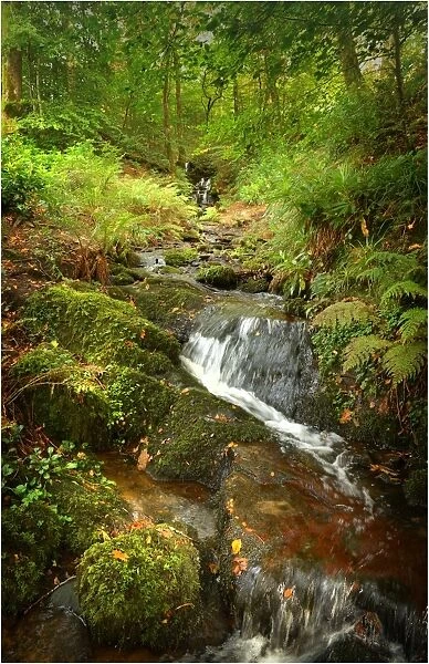 Waterfall in the forest near the western shoreline of Loch Lomond, the Trossachs, Scottish highlands