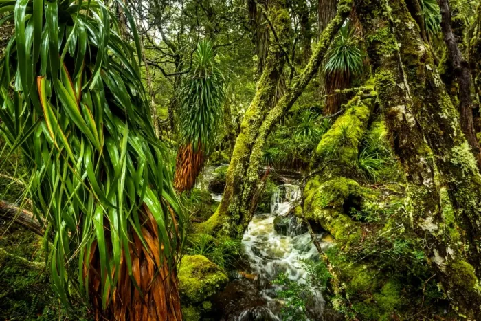 Framed Print : Waterfall at Overland track, Tasmania Framed Print : Waterfall at Overland track, Tasmania