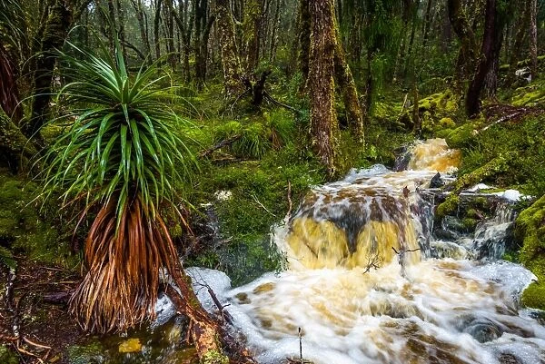 Waterfall at Overland track, Tasmania
