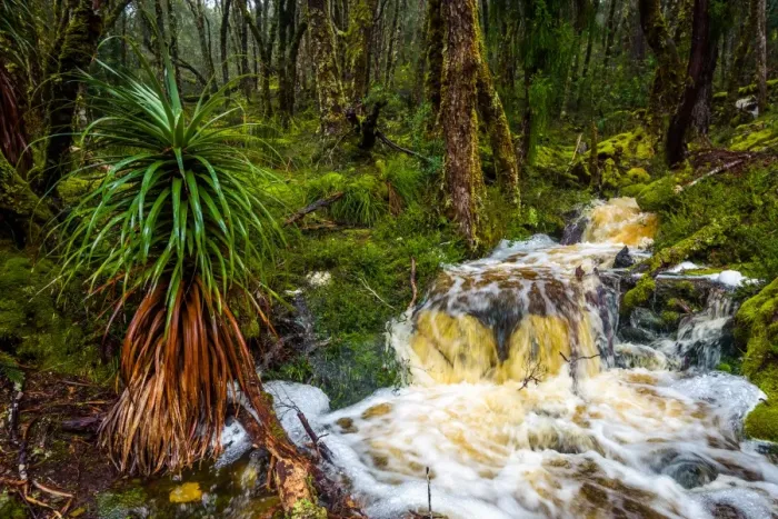 Framed Print : Waterfall at Overland track, Tasmania Framed Print : Waterfall at Overland track, Tasmania