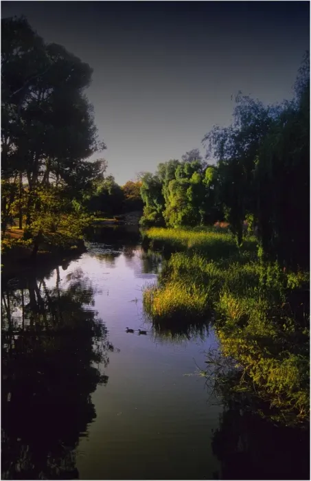 Framed Print : Waterway and Parklands in the Clare Valley, South Australia Framed Print : Waterway and Parklands in the Clare Valley, South Australia