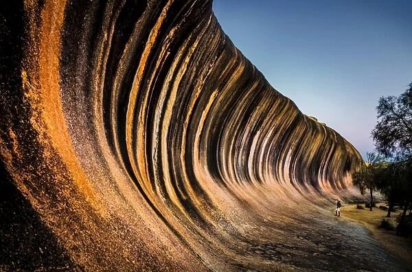 Wave Rock. 14 m tall and 110 m long Wave Rock in Western Australia