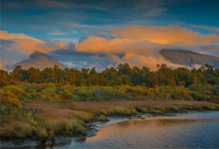 Framed Print : West coastline near the Okuru river, south Island, New Zealand