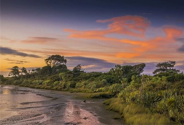 West coastline near the Okuru river, south Island, New Zealand