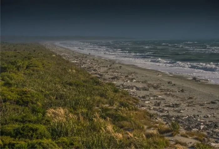 Framed Print : West coastline at Ship Creek, south Island, New Zealand
