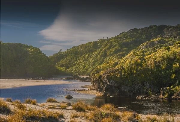 West coastline at Ship Creek, south Island, New Zealand