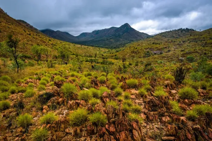 Framed Print : West Macdonnell Ranges