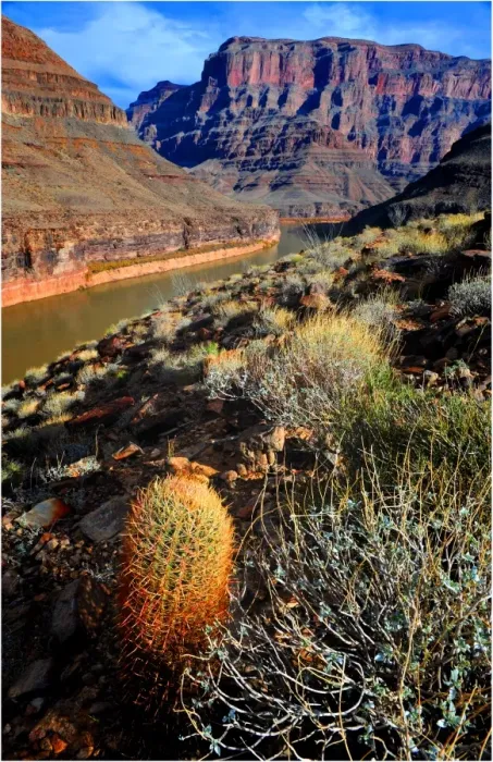 Framed Print : West rim Grand Canyon, Arizona, south western United States of America Framed Print : West rim Grand Canyon, Arizona, south western United States of America