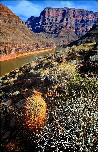 West rim Grand Canyon, Arizona, south western United States of America