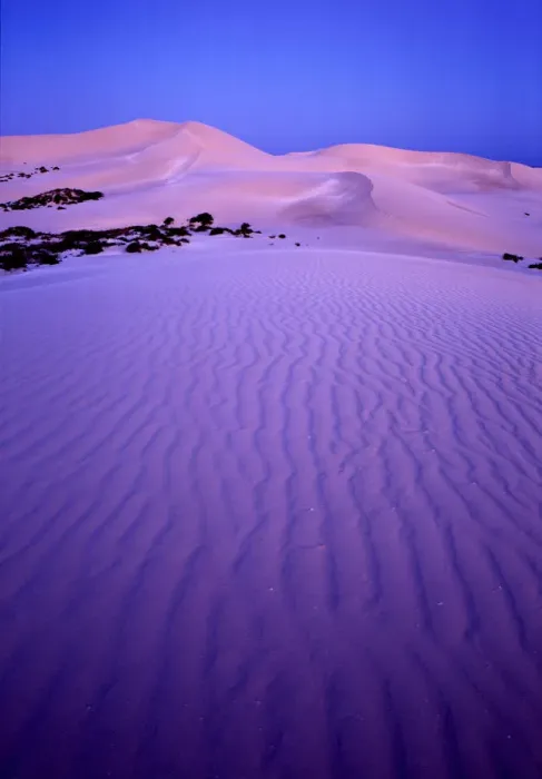 Framed Print : Western Australia, Eucla National Park, sand dunes at dusk