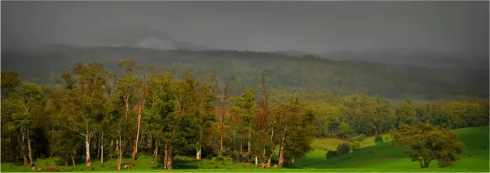 Framed Print : Wet day in the hills near Scottsdale, Tasmania, Australia Framed Print : Wet day in the hills near Scottsdale, Tasmania, Australia
