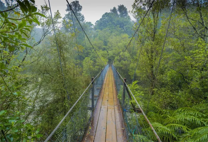 Framed Print : A wet day in the Hokitika Gorge, south island, New Zealand