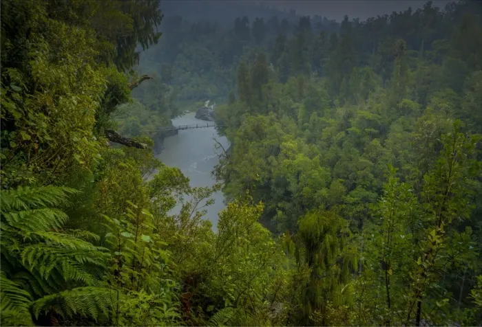 Framed Print : A wet day in the Hokitika Gorge, south island, New Zealand