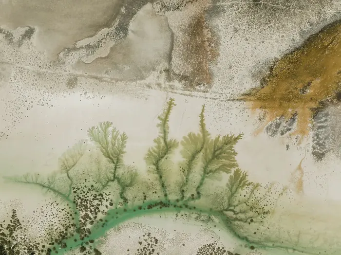 Framed Print : Wetland area photographed from a drone point of view, Willie Creek, Western Australia, Australia