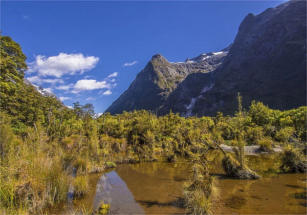 Wetlands in the Clinton Valley, Milford track, South Island, New Zealand