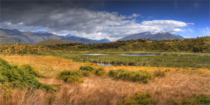 Framed Print : Wetlands at Glenorchy, South Island, New Zealand Framed Print : Wetlands at Glenorchy, South Island, New Zealand
