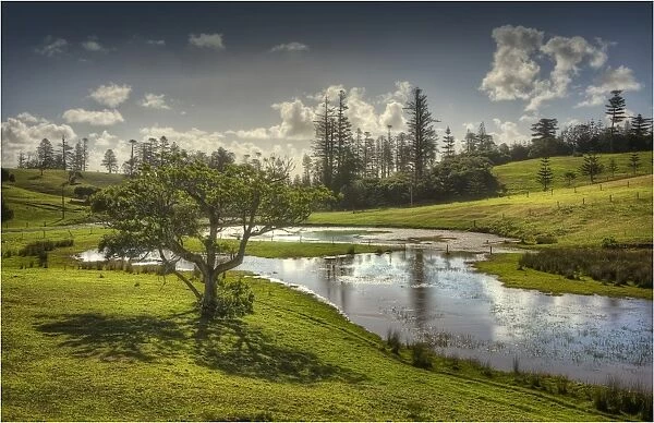 Wetlands in the Mission valley, Norfolk Island, South Pacific